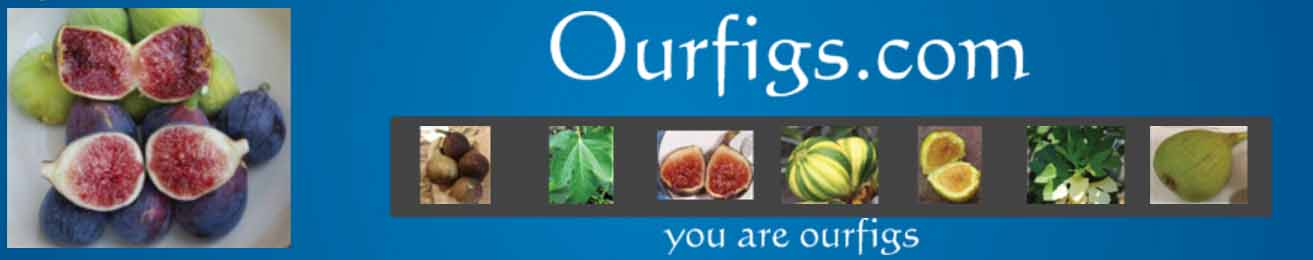 ourfigs